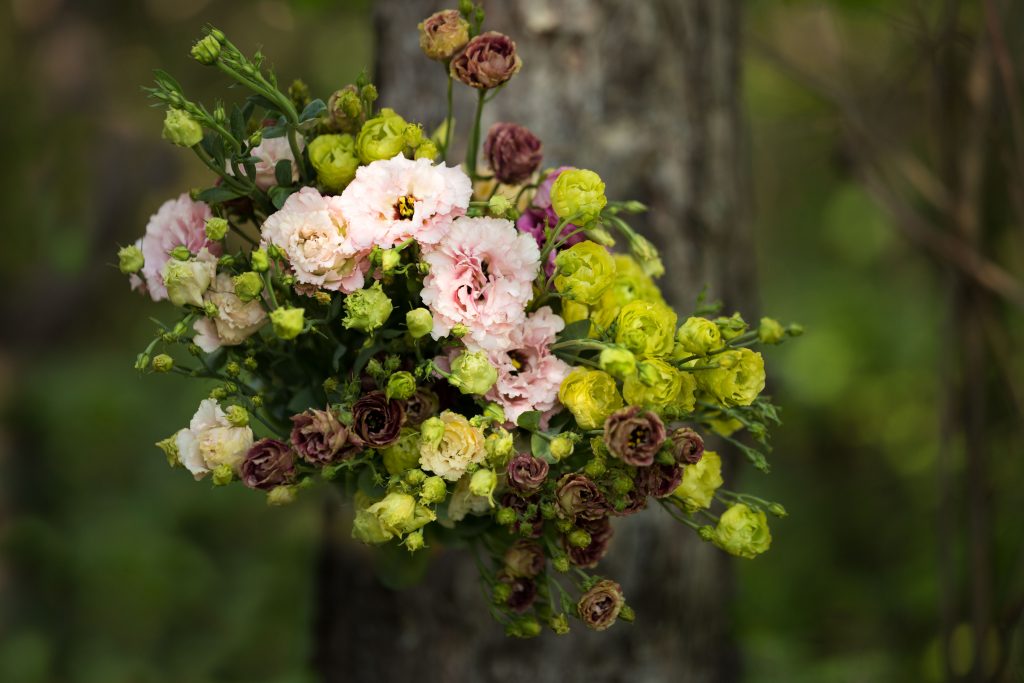 Petites fleurs blanches et vertes