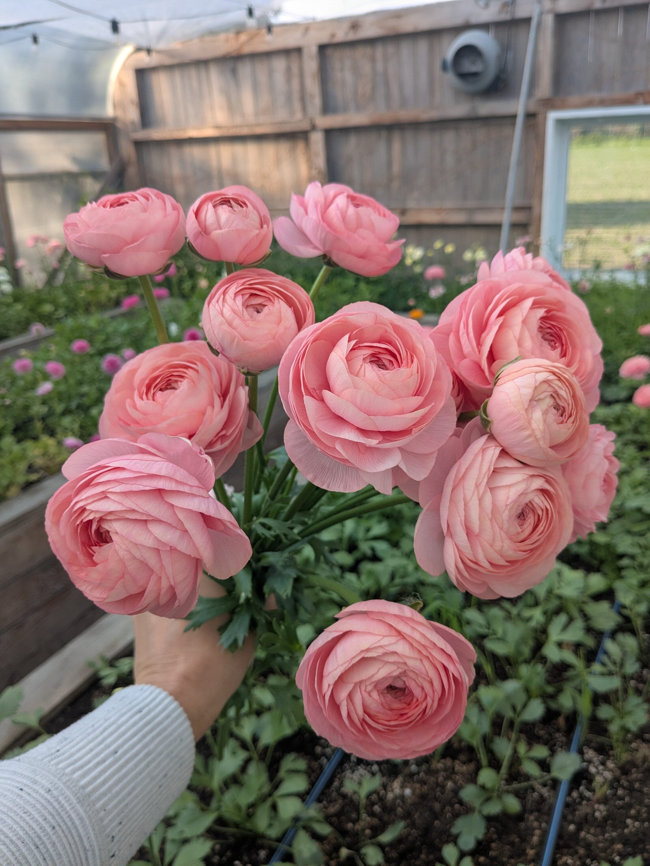 PXL_20250610_222400608