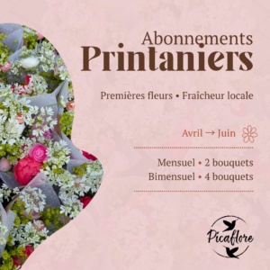 Bouquets - abonnement printannier